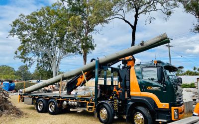 What a Crane Truck Can Do for You – Walkabout Services